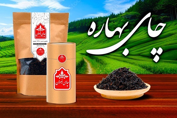 چای بهاره 1404 (چای ایرانی شمال رضوان)