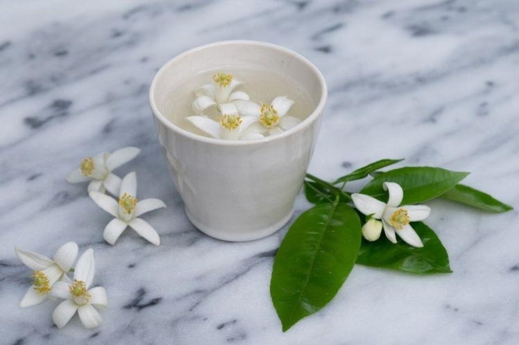 طرز تهیه چای بهار نارنج؛ نوشیدنی مناسب برای بهبود کیفیت خواب