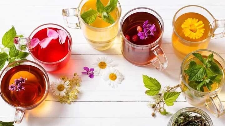 چای سبز فنجانی برای دستیابی به زندگی سالم و متعادل