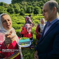 استاندار گیلان در کومله لنگرود: سالی پربار در انتظار چای‌کاران است