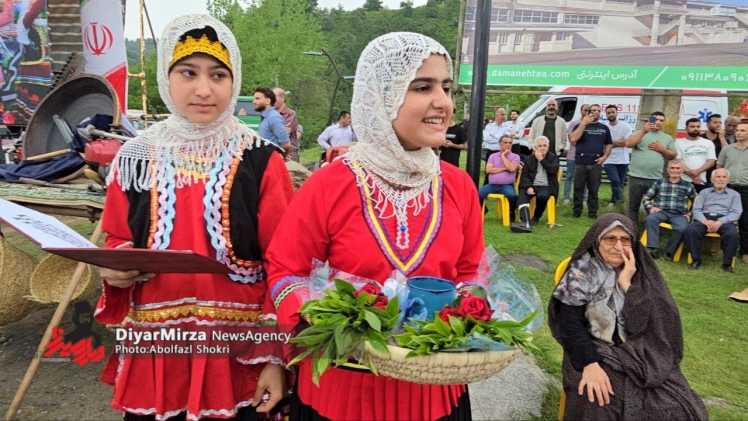  نخستین جشنواره آغاز برداشت چای در کومله لنگرود + فیلم