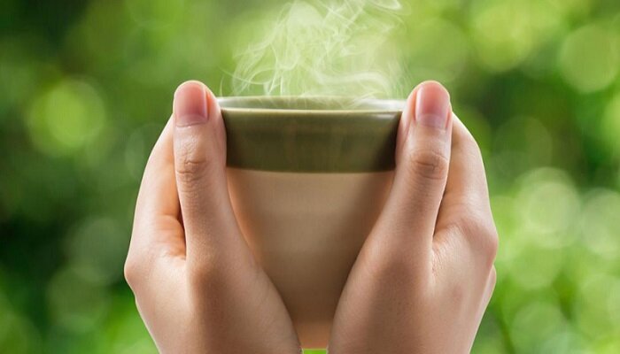 فواید بسیار چای سبز: از قند خون تا سلامت مغز